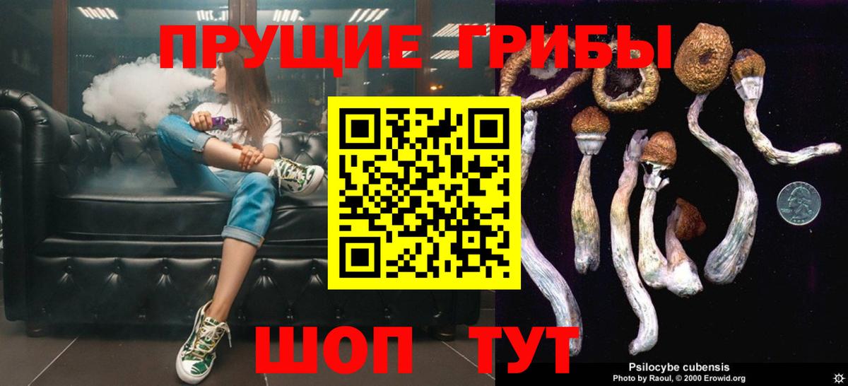 Псилоцибиновые грибы мухоморы Канаш