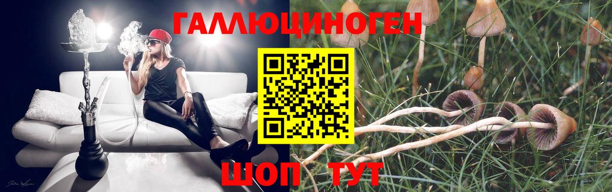 Канаш  Псилоцибиновые грибы GOLDEN TEACHER  Вход с VPN 